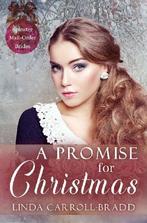 [Spinster Mail-Order Brides 01] • A Promise for Christmas (Spinster Mail-Order Brides Book 29)
